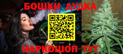 стаф Малгобек