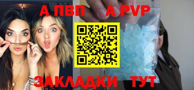 стаф Малгобек