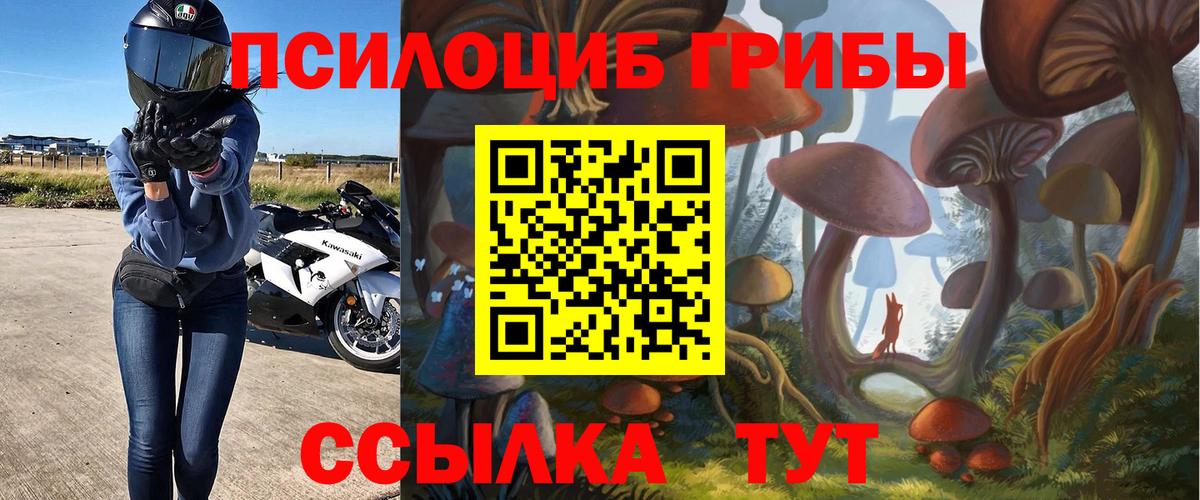 Галлюциногенные грибы Cubensis  Псилоцибиновые грибы мицелий  Вход с VPN  Южно-Сахалинск 
